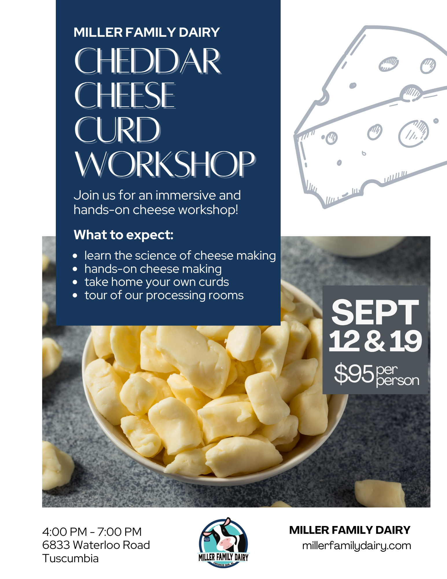 Hands on Cheddar Making Experience